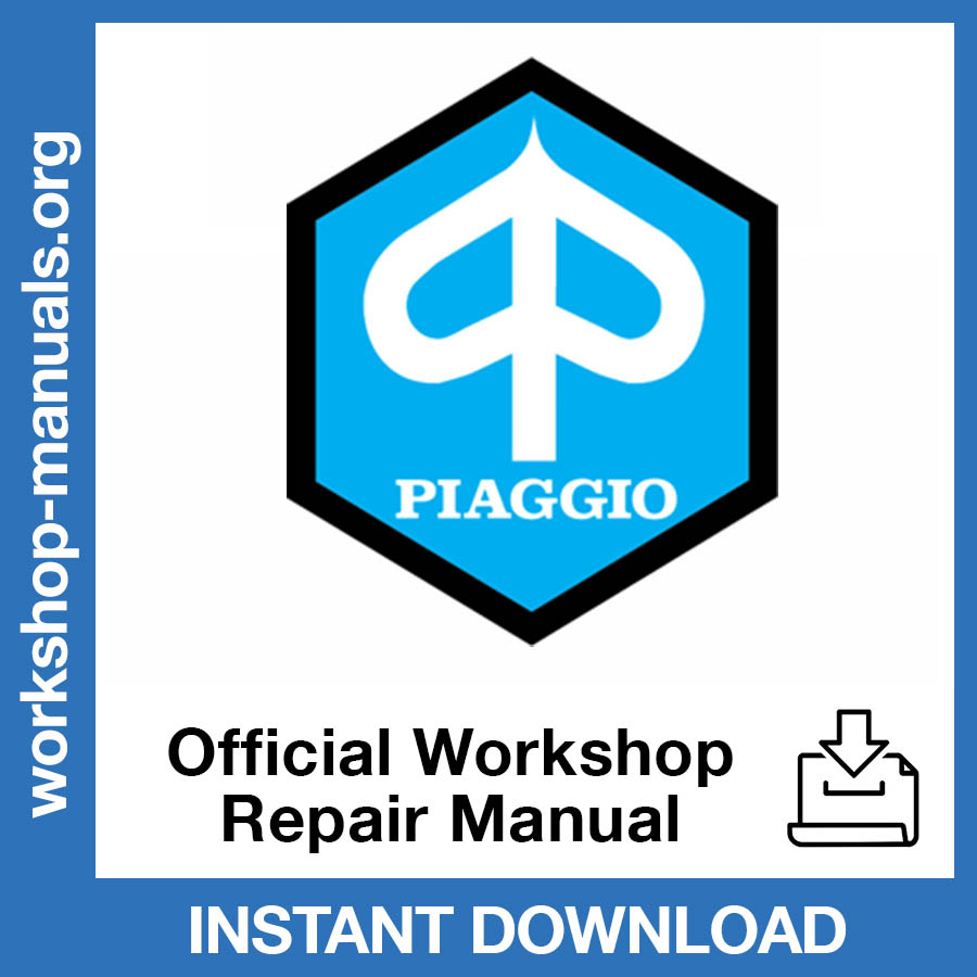 Piaggio X7 125 (2007) Official Workshop Repair Manual